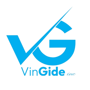 vingide logo vingide logo